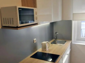 Apartment Flumen- Rijeka Centar