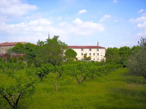 Hotel Des Oliviers