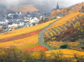Apartment Happy Mosel