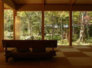 Mozumo - Adults Only