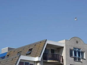 Apartment With Dunes View of Petten