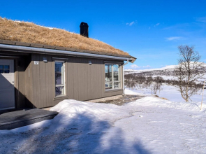 Amazing Home in Rauland With Sauna, 3 Bedrooms and Wifi