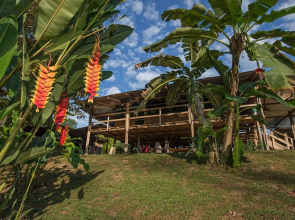 Albergue La Laguna Corcovado Park