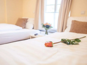 City Appartments Am Wall