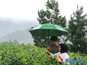 Dusun Bedugul Asri
