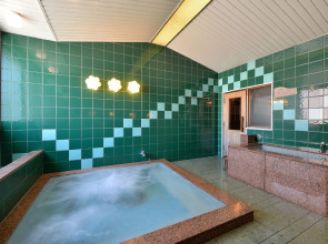 Hotel Crown Palais Hamamatsu