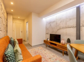 Pet-friendly Apartment in Oporto