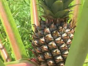 Village 218 Guest House