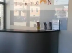 Horyzont 803