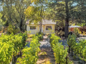Grapevine Cottage by Avantstay Hobby Vineyard + Firepit