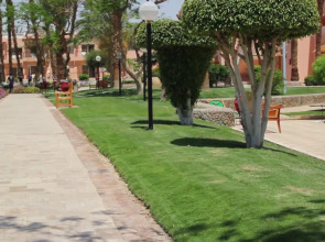 Beach Albatros Resort - All Inclusive