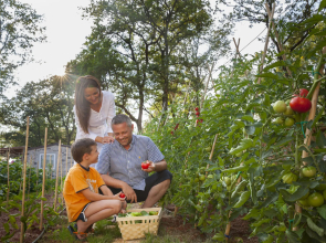 Aminess Planet Camping Maravea Holiday Homes