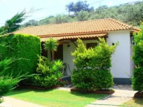 The Garden