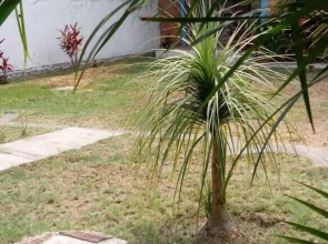 Hotel Bungalows del Río