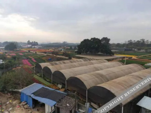 Nanning Yunxing Inn