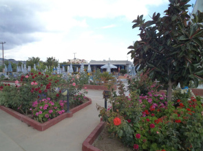 Orion Hotel Faliraki