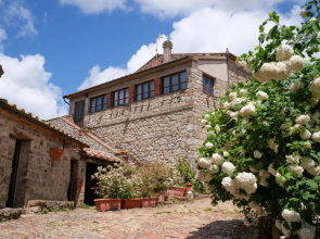 Mimosa - Borgo la Civitella