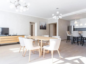 Apartment on Tirgonu Street