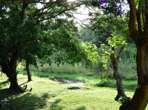 Clubmed 23