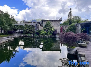 Yuanyang  Nuoma Amei Tea  Manor