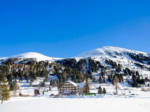 Schönfeld