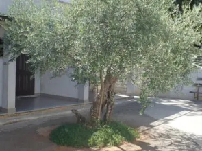 Guesthouse Zatisje