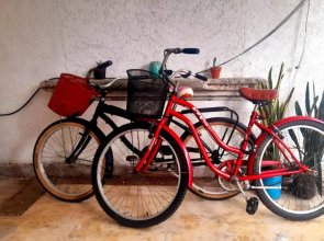 Casa Iguana hostel