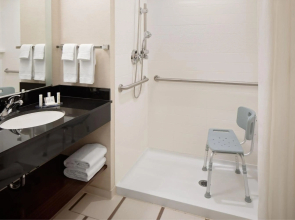 Fairfield Inn & Suites New York Manhattan/Downtown East