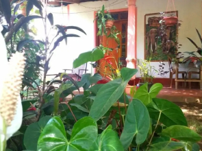 Sigiriya Pikaso Homestay