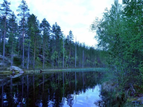 Salkolahti Tontti
