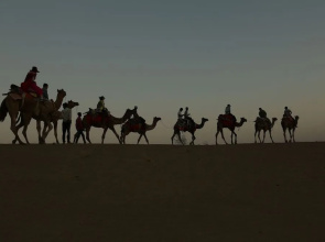Sangram Desert Camp