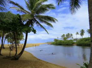Um Lugar no Paraíso