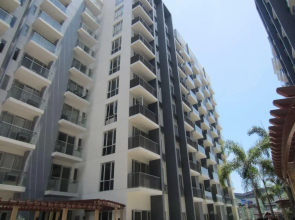 Palm Tree - Genlex Condominium