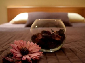 Меблированные комнаты Пушкин