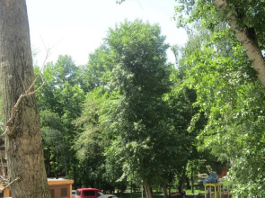 Double Plus Hostel Novoslobodskaya