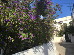 Toula's house 2