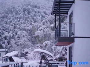 Shanfeng Zhuyun · Creekside Family Hiking Resort (Anji Longwang Mountain Rafting)