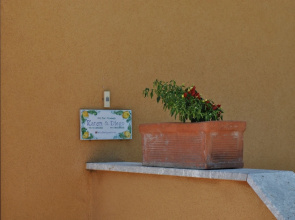 The Lemon Tree