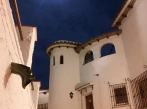 Gaviota Y Vora Mar