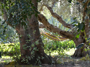 Villa Titì