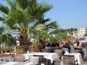 Отель Phoenix Sun