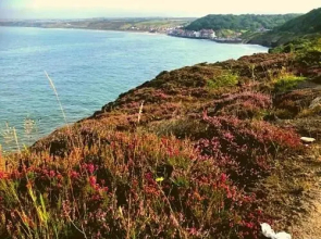 The Garden Apartment