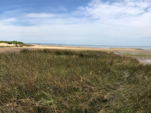 La Dune