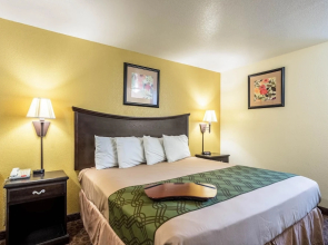 Rodeway Inn & Suites Searcy