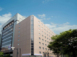 Daiwa Roynet Hotel Shin - Yokohama