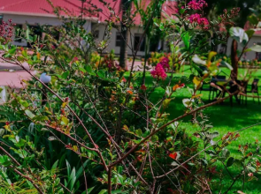 Jlm Hotel Busia