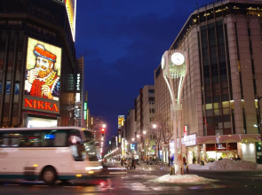 Imperial Ever Nakajima Park II / Vacation STAY 2601