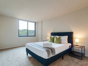 The Beautiful Alexandria Suites