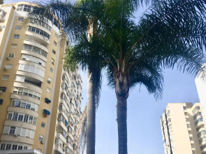 Central Torremolinos Studio