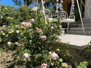 Villa Carlotta